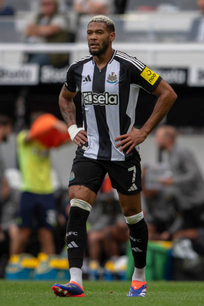 的新篇章 的新篇章